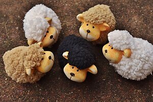 Discover. Black Sheep in Counselling